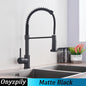 Stainless Steel Spring Brushed Kitchen Sink Faucet