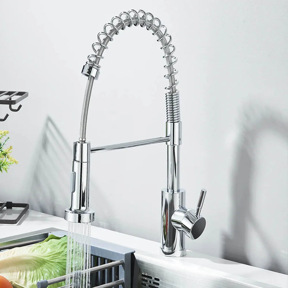 Single-Handle Removable Gourmet Kitchen Faucet, 2-Mode Sprayer