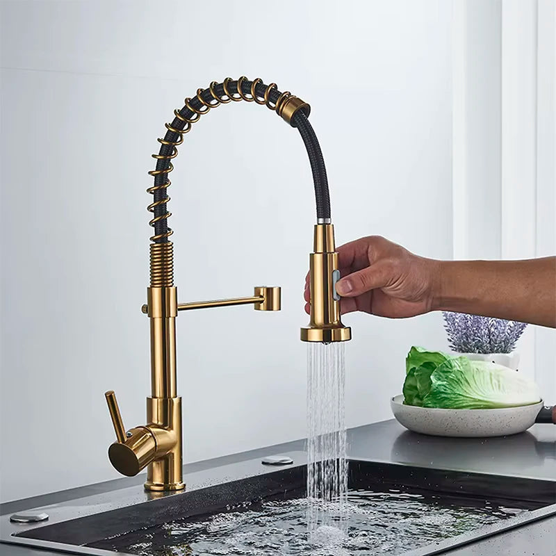 Single-Handle Removable Gourmet Kitchen Faucet, 2-Mode Sprayer