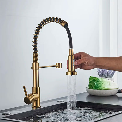 Single-Handle Removable Gourmet Kitchen Faucet, 2-Mode Sprayer