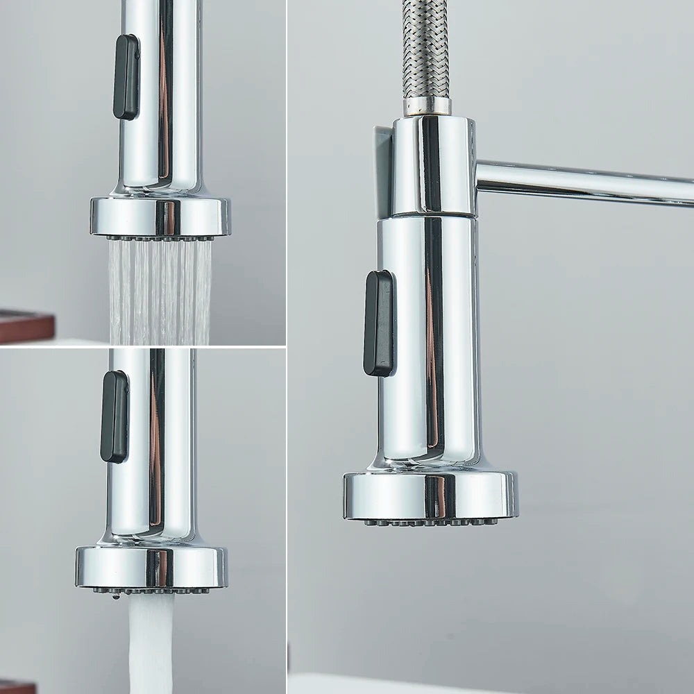 Single-Handle Removable Gourmet Kitchen Faucet, 2-Mode Sprayer