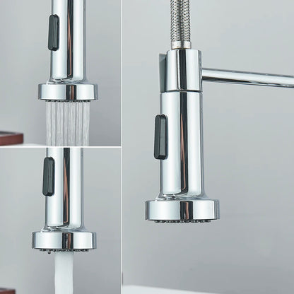 Single-Handle Removable Gourmet Kitchen Faucet, 2-Mode Sprayer