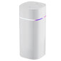 600ML - DOUBLE SPRAY AROMATHERAPY PORT USB AIR HUMIDIFIER