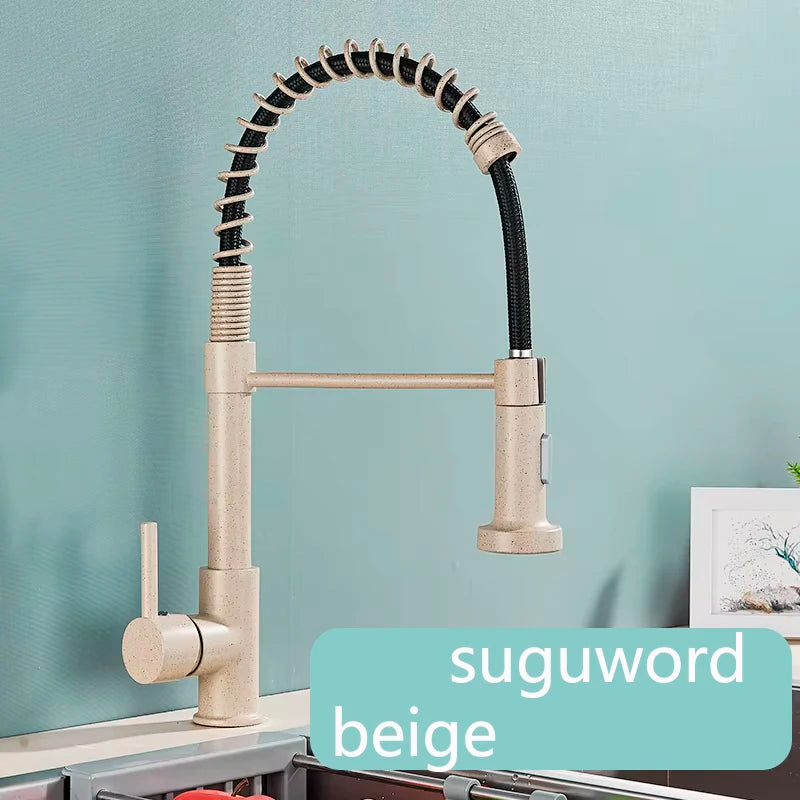 Single-Handle Removable Gourmet Kitchen Faucet, 2-Mode Sprayer