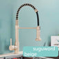 Single-Handle Removable Gourmet Kitchen Faucet, 2-Mode Sprayer