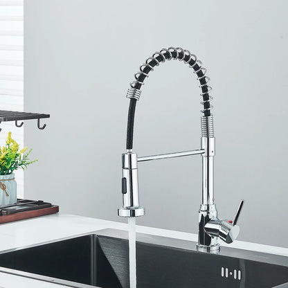 Single-Handle Removable Gourmet Kitchen Faucet, 2-Mode Sprayer