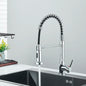 Single-Handle Removable Gourmet Kitchen Faucet, 2-Mode Sprayer