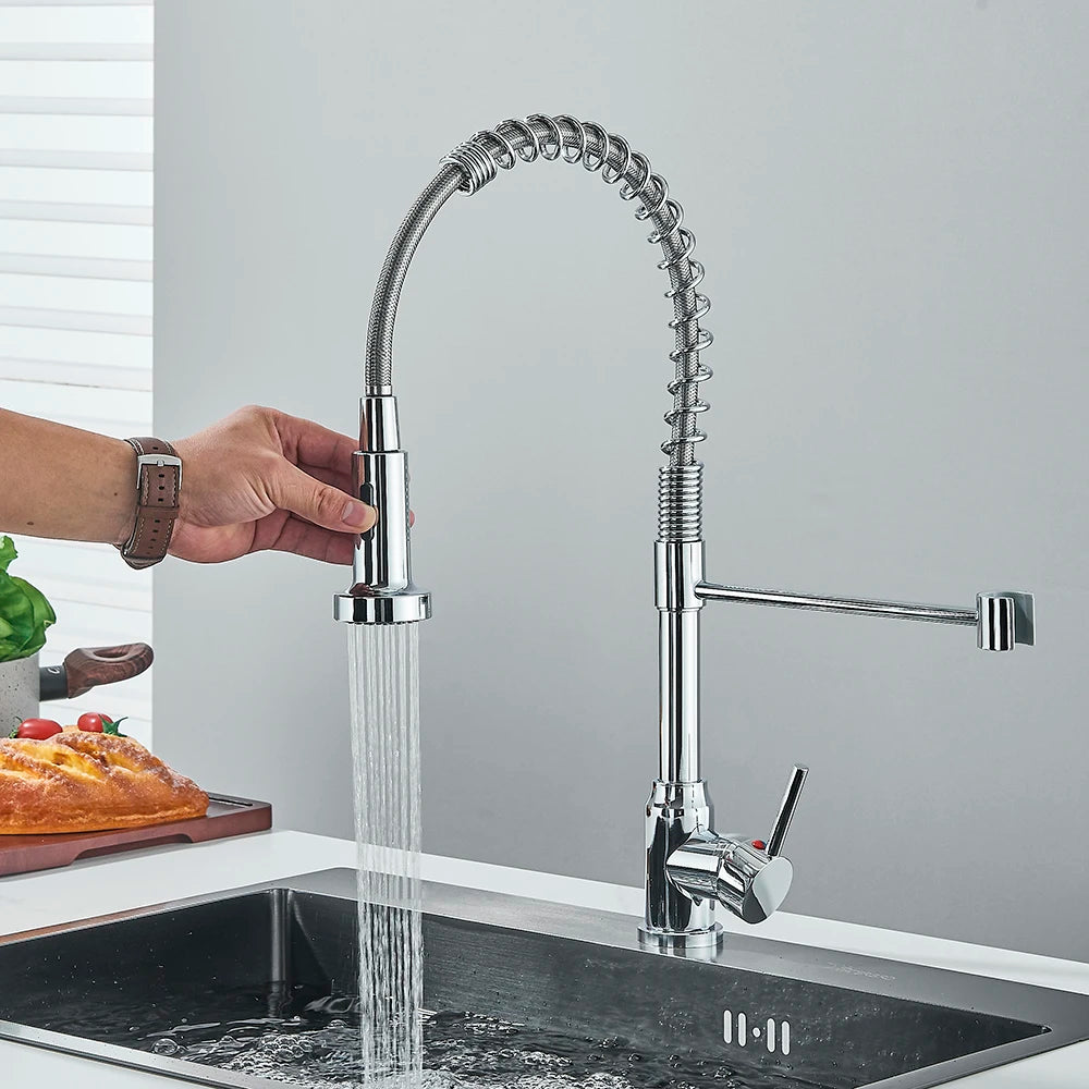 Single-Handle Removable Gourmet Kitchen Faucet, 2-Mode Sprayer
