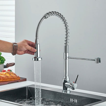 Single-Handle Removable Gourmet Kitchen Faucet, 2-Mode Sprayer
