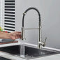 Single-Handle Removable Gourmet Kitchen Faucet, 2-Mode Sprayer