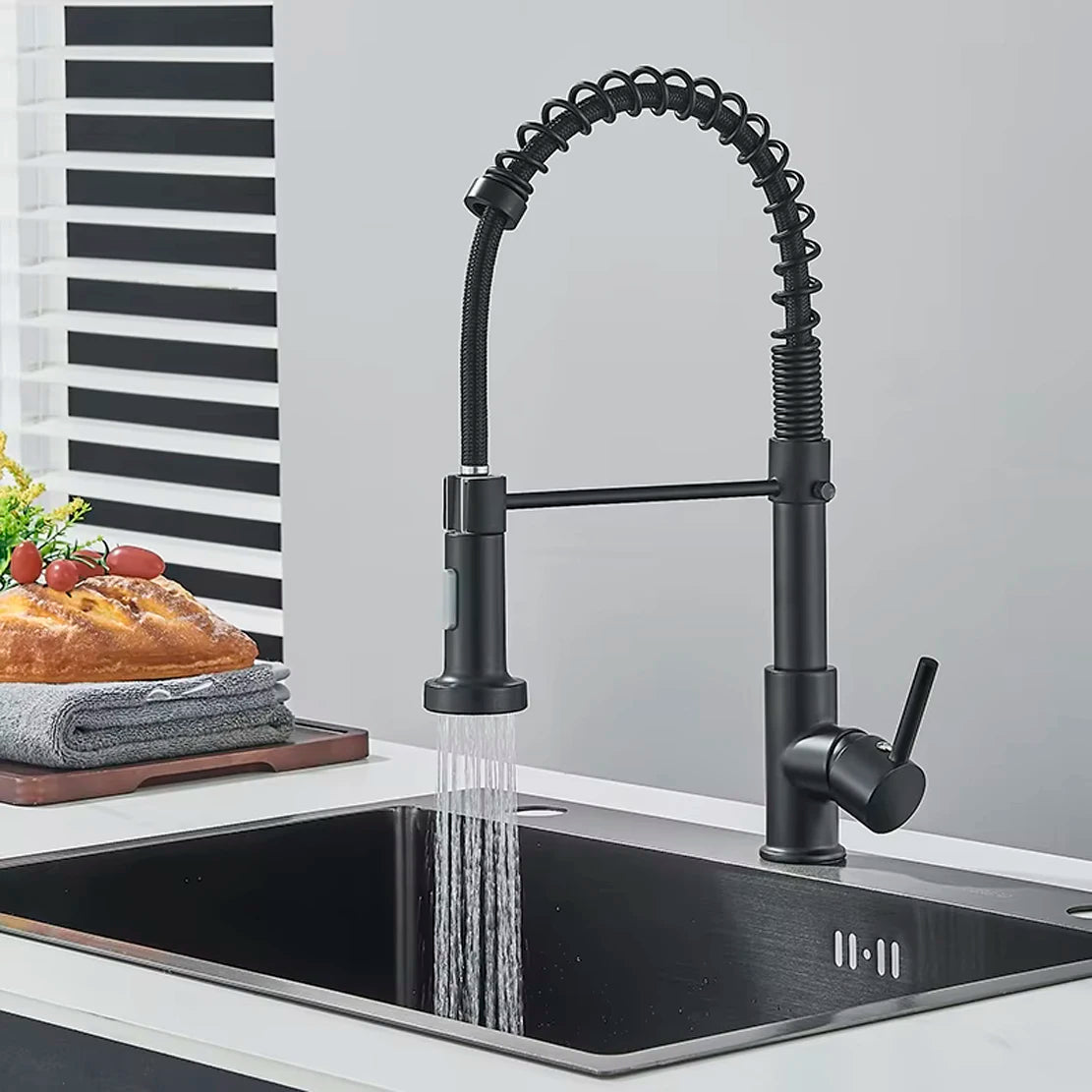 Single-Handle Removable Gourmet Kitchen Faucet, 2-Mode Sprayer