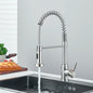 Single-Handle Removable Gourmet Kitchen Faucet, 2-Mode Sprayer