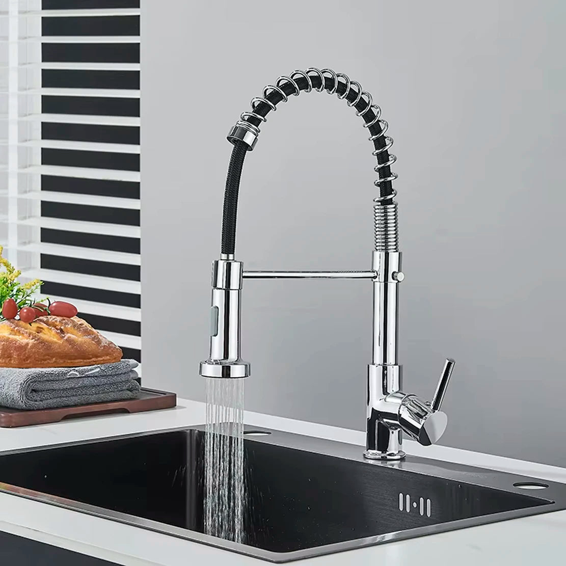 Single-Handle Removable Gourmet Kitchen Faucet, 2-Mode Sprayer