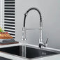 Single-Handle Removable Gourmet Kitchen Faucet, 2-Mode Sprayer