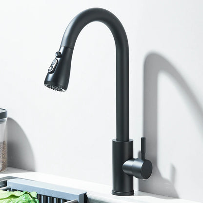 SINGLE-HANDLE BRUSHED NICKEL KITCHEN SINK FAUCET