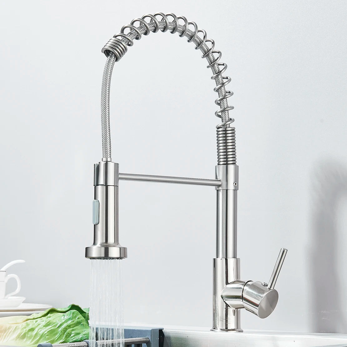 Single-Handle Removable Gourmet Kitchen Faucet, 2-Mode Sprayer