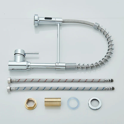 Single-Handle Removable Gourmet Kitchen Faucet, 2-Mode Sprayer