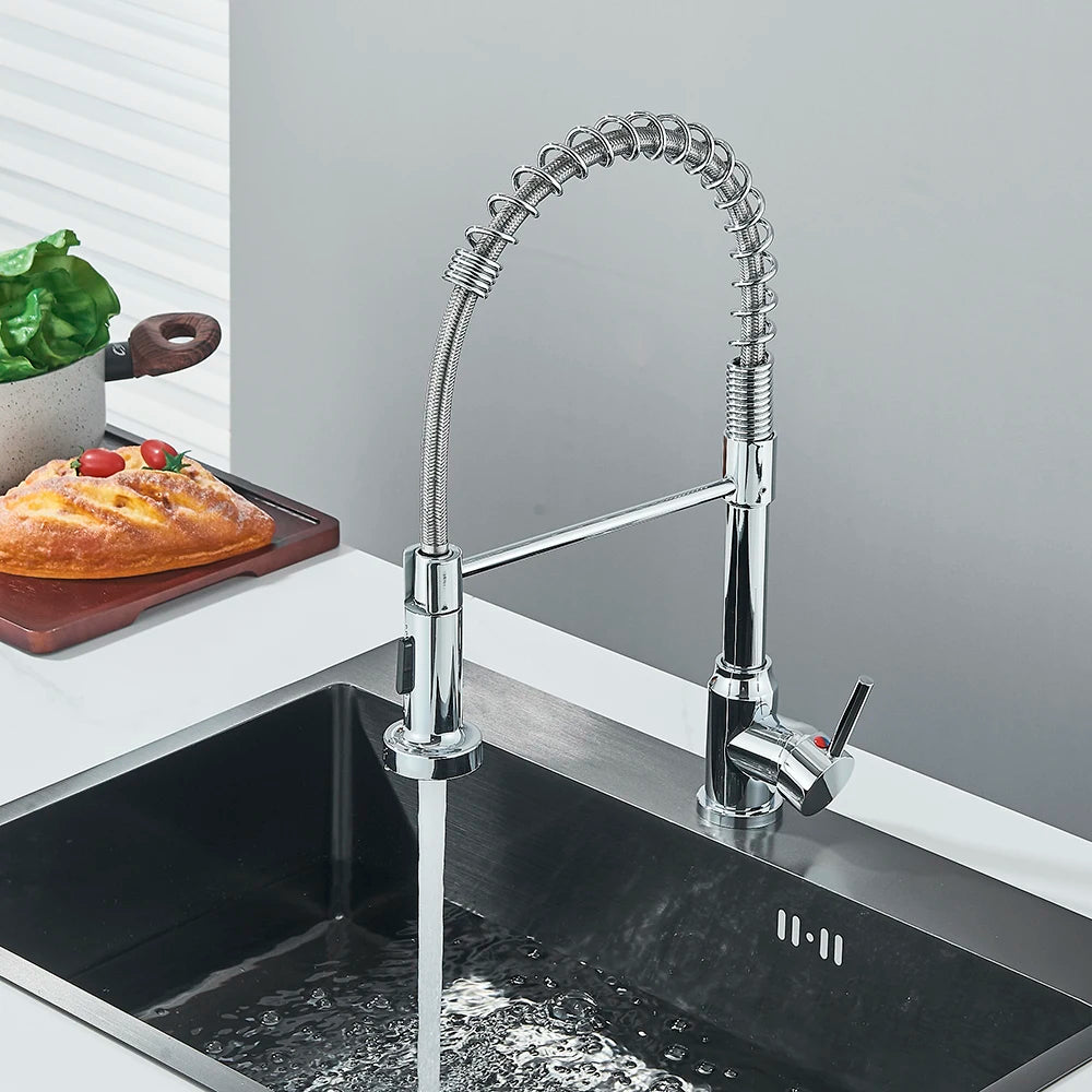 Single-Handle Removable Gourmet Kitchen Faucet, 2-Mode Sprayer
