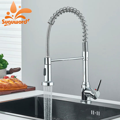 Single-Handle Removable Gourmet Kitchen Faucet, 2-Mode Sprayer