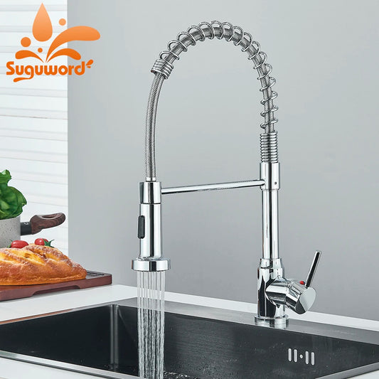 Single-Handle Removable Gourmet Kitchen Faucet, 2-Mode Sprayer