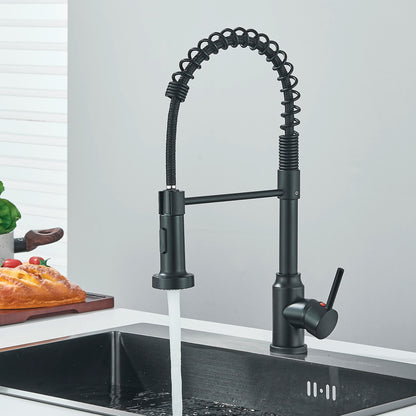 Single-Handle Removable Gourmet Kitchen Faucet, 2-Mode Sprayer